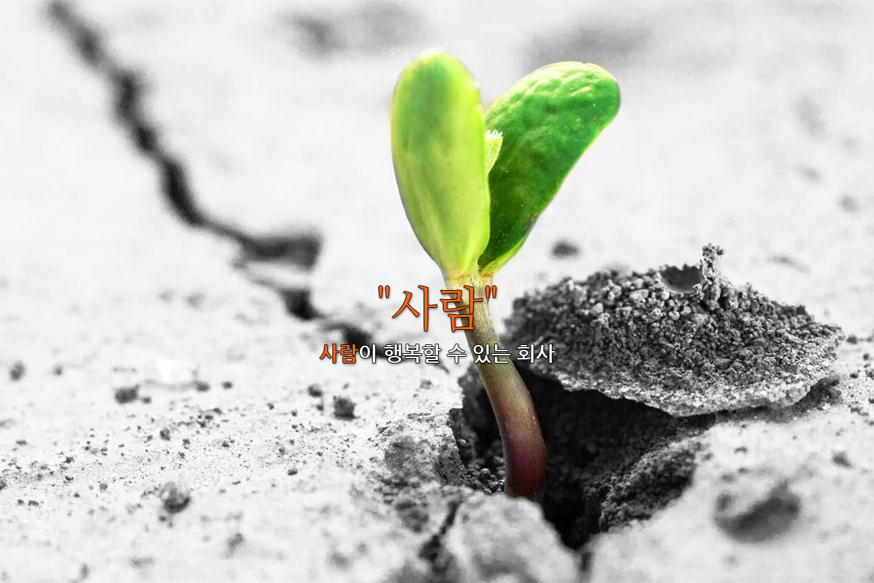 동영상테스트
